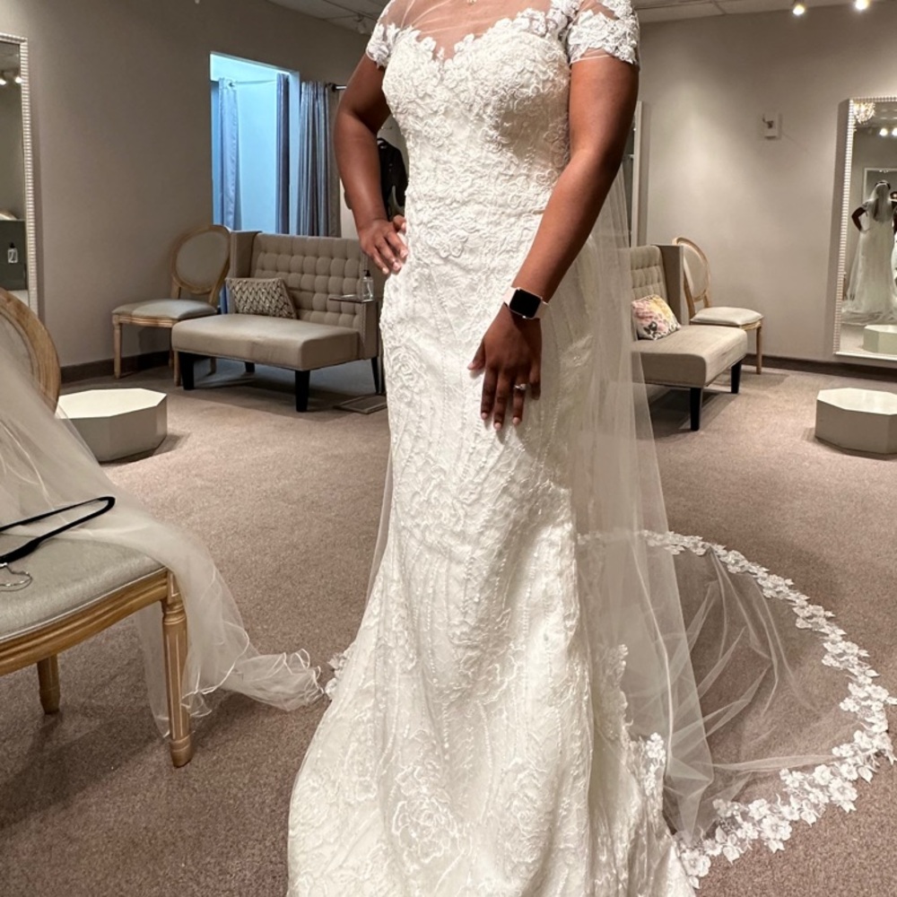 Elegant Lace Wedding Dress without Train